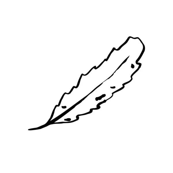 개찰구의 개찰구는 잎이다 손으로 배경의 허브로 구성되어 있습니다 Doodle 그래픽 — 스톡 벡터