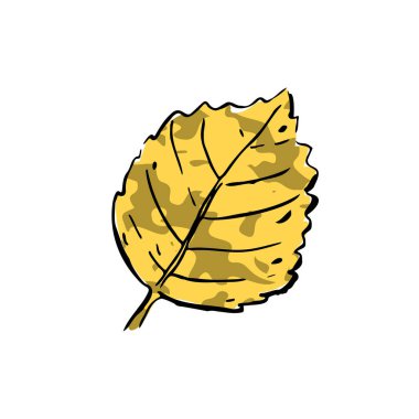 Sonbahar çizimi sarı huş yaprağı. El yapımı, beyaz arka planda desenli bitki. Karalama kurutulmuş bitki. Doğa, orman, ikebana, sonbahar işareti. Oyulmuş yaprak. Vektör botanik sezonu çizimi