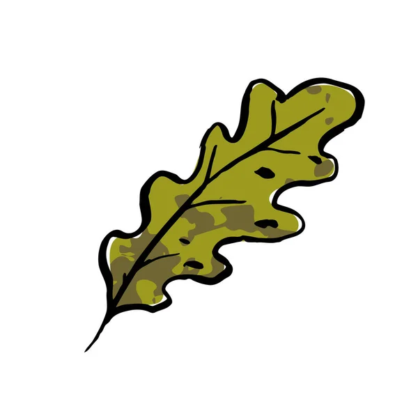 Осенний Эскиз Листьев Зеленого Дуба Ручной Рисунок Текстурированной Травы Белом — стоковый вектор