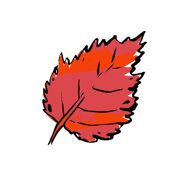Sonbahar Çizimi Red Birch Yaprağı Beyaz Arka Planda Elle Çizilmiş — Stok Vektör