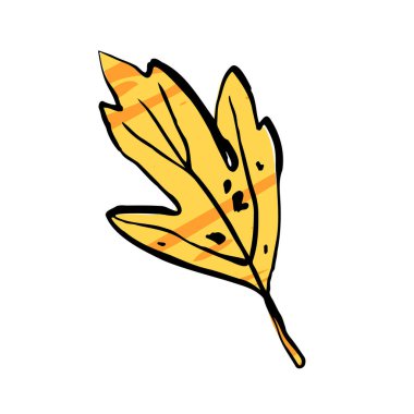 Sonbahar çizimi sarı yaprak. El yapımı, desenli bitki, beyaz arka planda dal. Karalama bitkisi resmi. Doğa, bahçe, orman, sonbahar tabelası. Oyulmuş yaprak. Vektör botanik sezonu çizimi