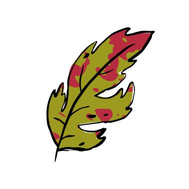 Sonbahar çizimi yeşil yaprak. El yapımı, desenli, beyaz arka planda bitki lekesi. Karalama bitkisi resmi. Doğa, bahçe, orman, sonbahar tabelası. Oyulmuş yaprak. Vektör botanik sezonu çizimi