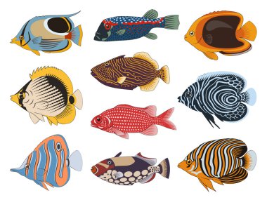 Tropical Sea Fishes Collection 2. 10 colorful vector cliparts isolated on white background.
