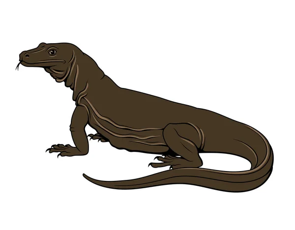 Komodo Waran Dragon Isolated White Vector Clipart — Stok Vektör