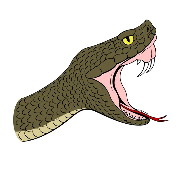 Viper Head Opened Mouth Attack Vector Clipart Isolated White — Vetor de Stock