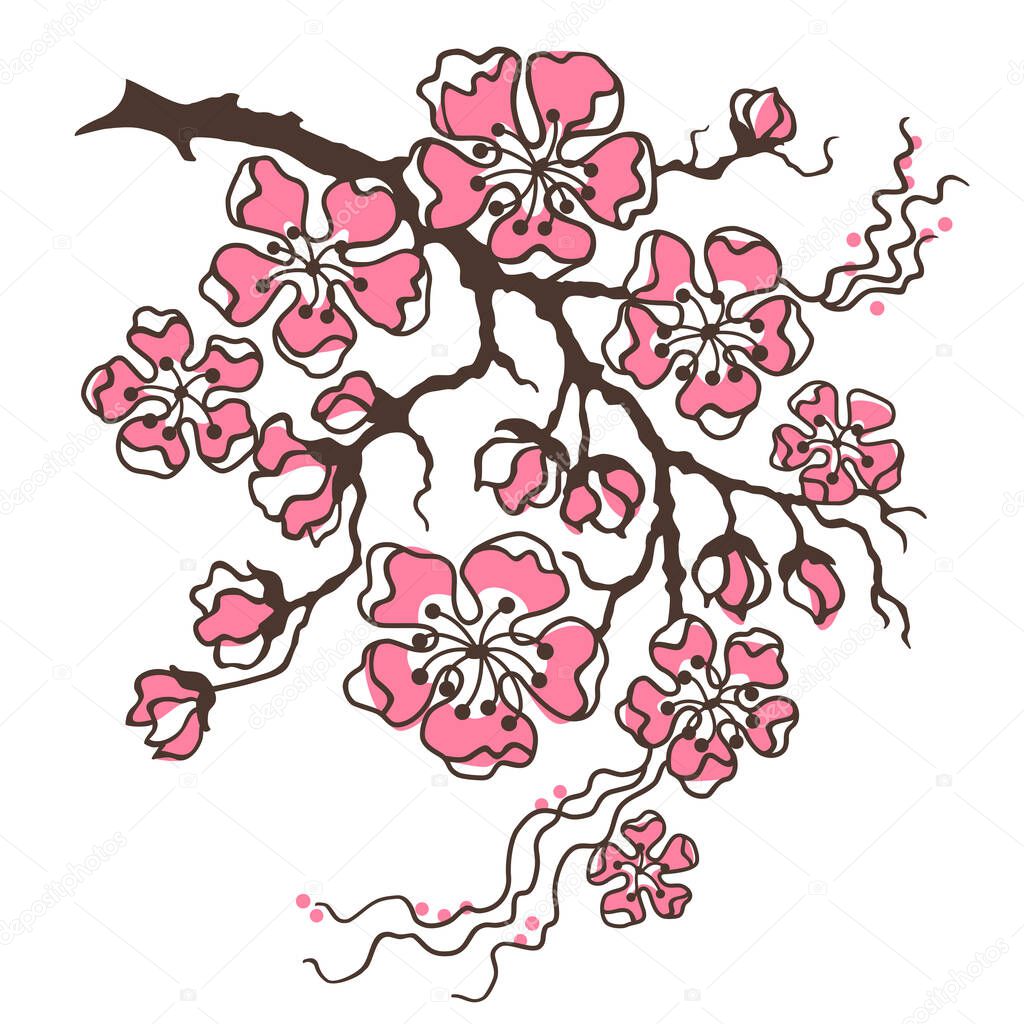Cherry Blossom, Sakura. Branch with Flowers. Hand-drawn vector clipart isolited on white.