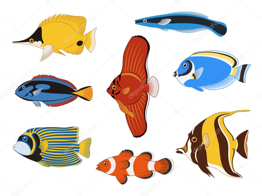 Tropical Sea Fish Collection. Colorful vector cliparts isolated on white background.