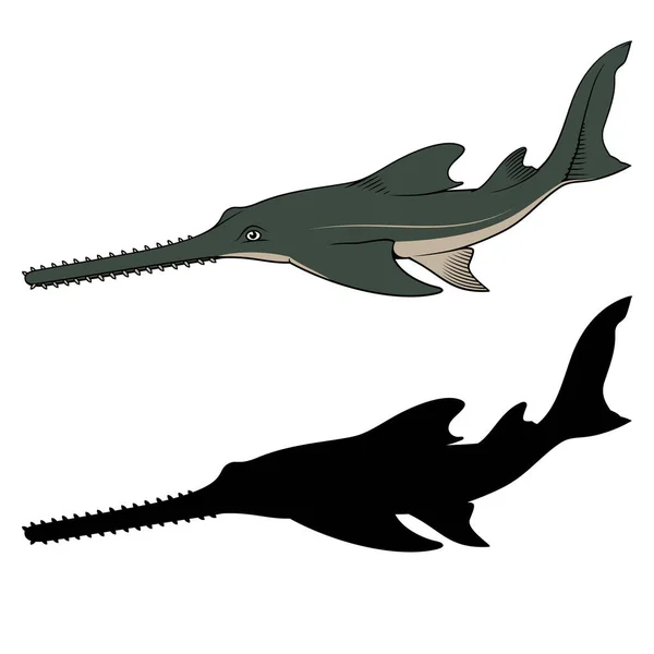 Sawfish Vector Clipart Color Black Versions Isolated White — Stok Vektör