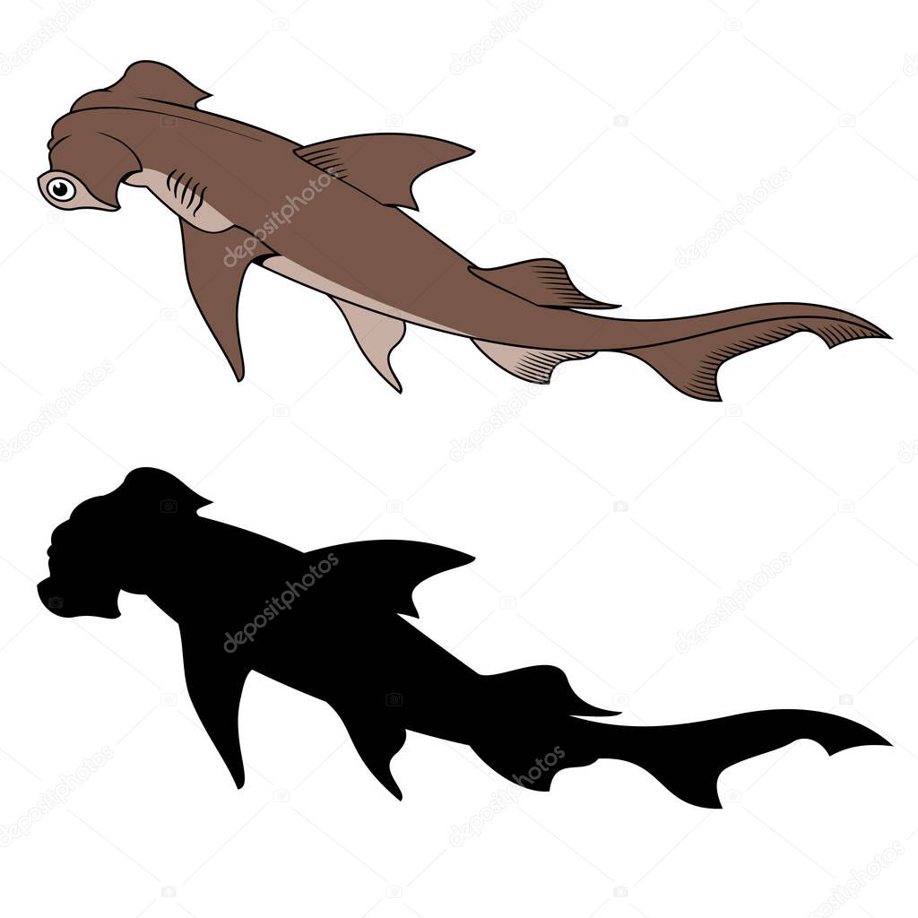 Hammerhead Shark. Vector clipart. Color version and black silhouette isolated on white.