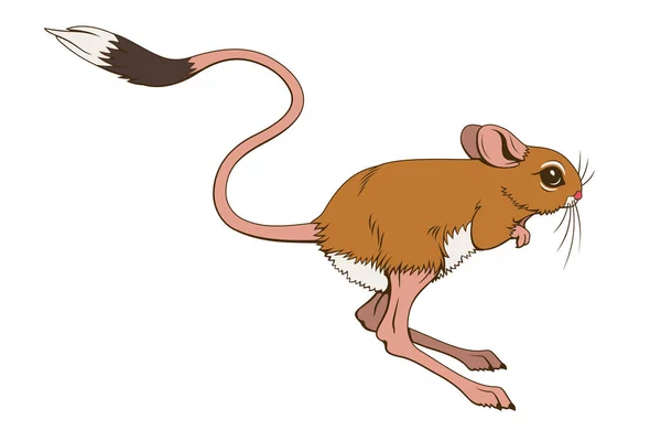 Jumping Jerboa Vector Clipart Isolited White — стоковый вектор