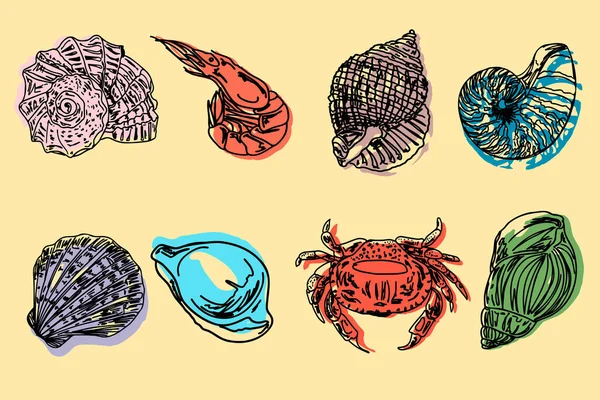 Deniz kabuğu vektörü çizim ayarladı. Pastel rengi sarı arka planda farklı şekilli deniz kabukları. Yeşil, mavi, bej, yeşil yosunlu kumlu deniz tabanında pembe kabuklar. Deniz kenarı resmi.