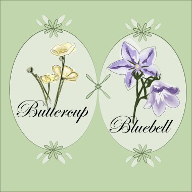 Oval decorated frames with watercolor flowers - yellow buttercups and bluebells with calligraphic signatures of names on a light green background.