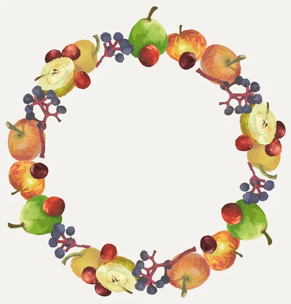 Corona Decorativa Dibujos Acuarela Varias Frutas Maduras Manzanas Amarillas Cerezas — Archivo Imágenes Vectoriales