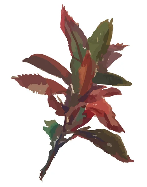 Aquarelle Dessin Vectoriel Branche Plante Avec Des Feuilles Colorées Automne — Image vectorielle