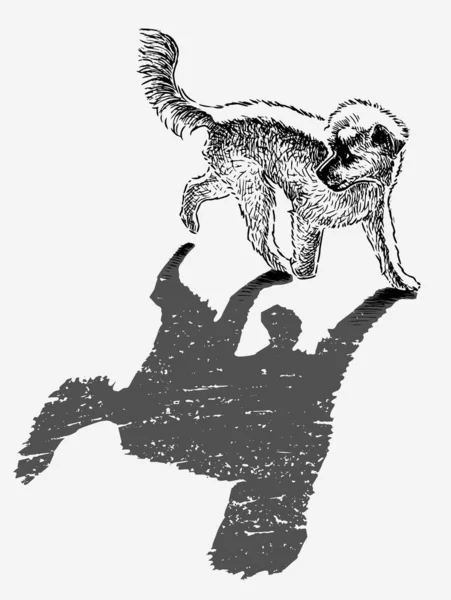 Desenho Mão Cão Bonito Com Sombra Andando Livre —  Vetores de Stock