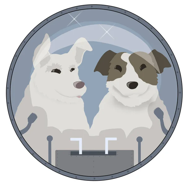 Uzaydaki Köpekler Belka ve Strelka illüstrasyonu