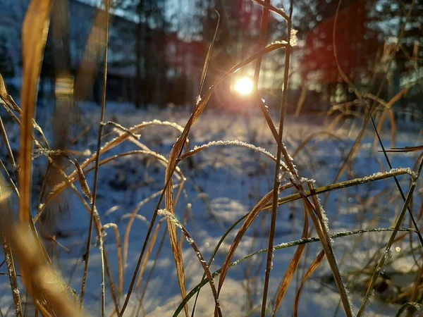 Los témpanos de hielo están congelados en la cerca. El sol poniente brilla sobre nosotros — Foto de Stock