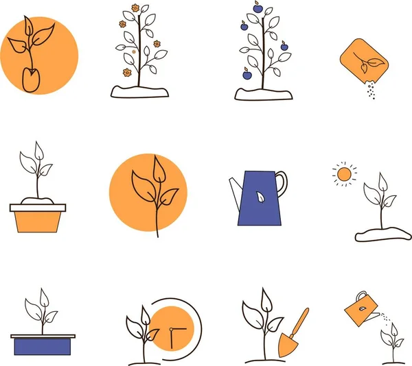 Bitkilerin yetiştirilmesi. Toprakta bir filiz. Tarım ve bahçıvanlık simgeleri belirlendi. Toprağa, seraya ve hidroponik sistemlere ekilmiş..