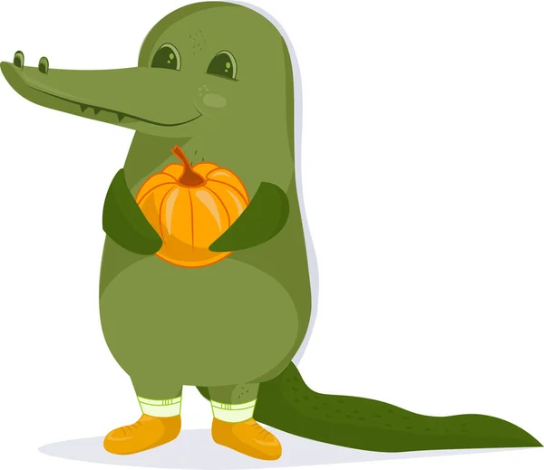  Komik timsah. Bir timsahın, afişin, reklamların düz vektör çizimi. Timsah balkabağı tutuyor. Cadılar Bayramı Balkabağı.