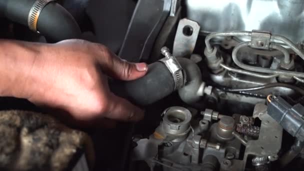 Hand Machanic Put Upper Radiator Hose Engine Technician Repairing Cooling — Stock Video