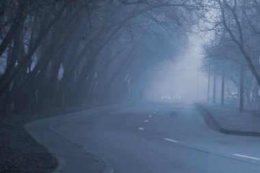 Şehir caddesi yoğun sisle kaplı. Renkli fotoğraf.