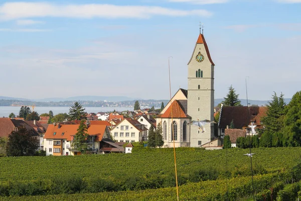 Vue Panoramique Ville Mindelheim Bavière Allemagne — Photo