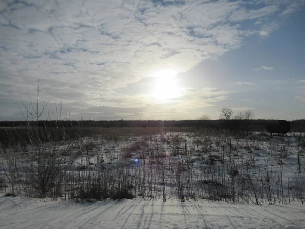 Puesta Sol Invierno Día Despejado Soleado — Foto de Stock