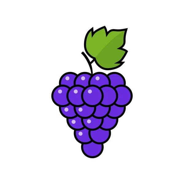 Uvas Vectoras Ícone Uvas Ilustração Fruto Vetorial Vinho Natureza — Vetor de Stock