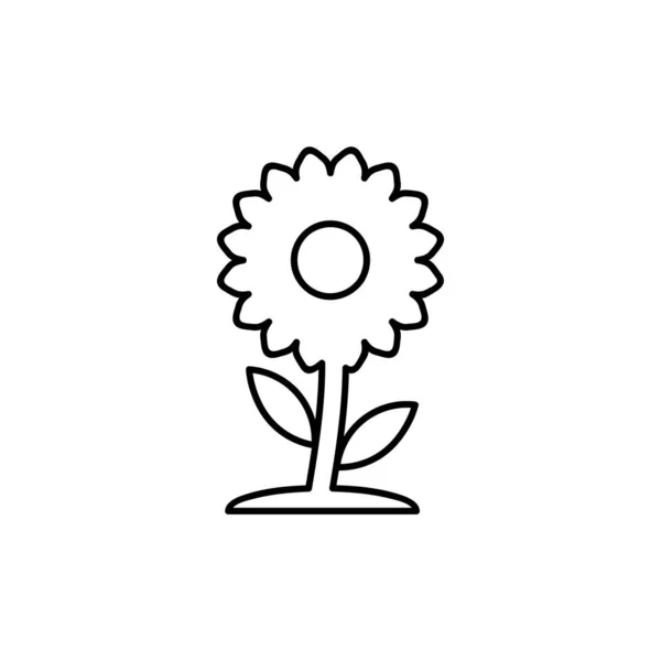 Ikona Kwiatów Izolowane Wektorowe Zilustrowanie Koncepcji Znaku Ikony Dla Twojej — Wektor stockowy