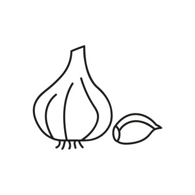 Sarımsak ince çizgi vektör simgesi. Çeşni doğrusal stil menü, etiket, logo için izole. Detaylı Vejetaryen Gıda sembolü.