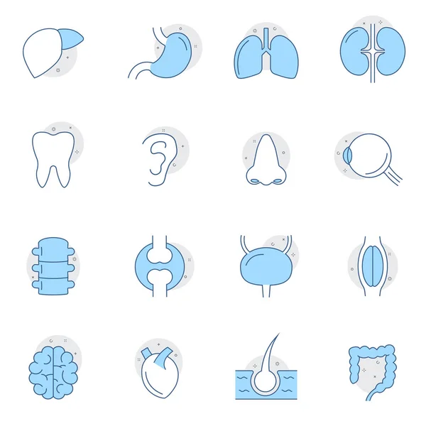 Ícones Órgãos Humanos Internos Definidos Estilo Design Linear Anatomia Coração — Vetor de Stock