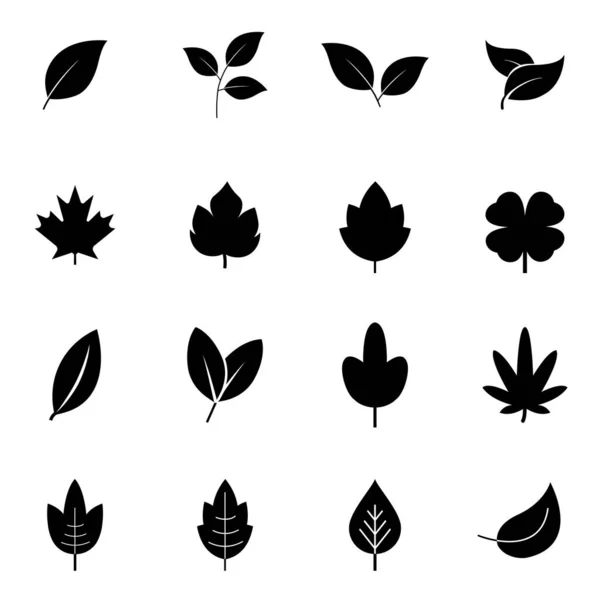 Blätter Vektor Auf Weißem Hintergrund Isoliert Eingestellt Blättert Symbol Verschiedene lizenzfreie Stockvektoren