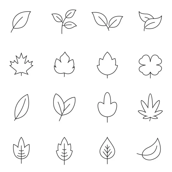 Leaf Line Icon Set Fertility Growth Symbol Fresh Natural Beauty — Stock Vector