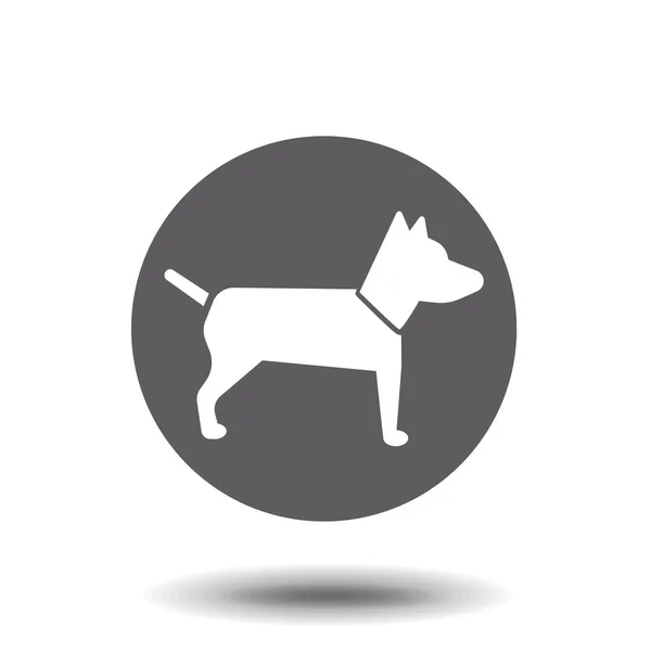 Иконка Собаки Модном Плоском Стиле Изолирована Заднем Плане Dog Icon — стоковый вектор