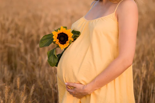Pojęcie Ciąży Macierzyństwa Jedności Rodziny Piękna Ciężarna Kobieta Trzyma Brzuch — Zdjęcie stockowe