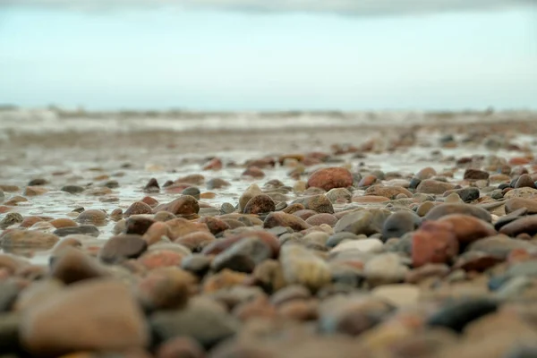 stones lie beautifully on the seashore. stones on the sand.Many colorful ocean shells and stones lying at the beach on a sunny day with blue sky and a mountain as background