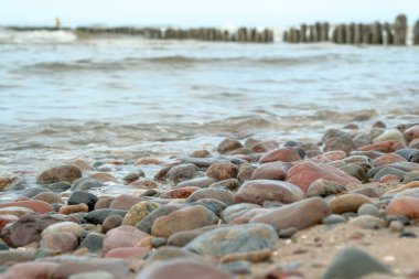 Kumlu bir sahil manzarası ve kayalar ve arka planda mavi Akdeniz renkli günbatımında. Güzel deniz manzarası. Rıhtımdaki ağaçlar.