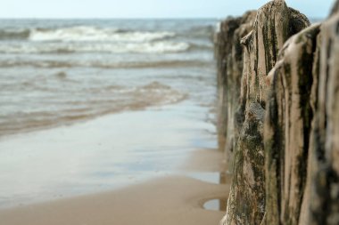 Güzel deniz kıyısı. Taş sahili. Kumlu, kayalı ve dalgalı güzel bir sahil.