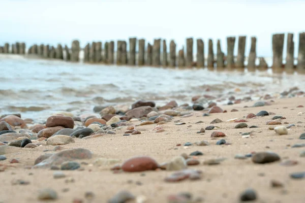 Mooie Mix Van Zwarte Stenen Schelpen Zand Zicht Van Bovenaf — Stockfoto