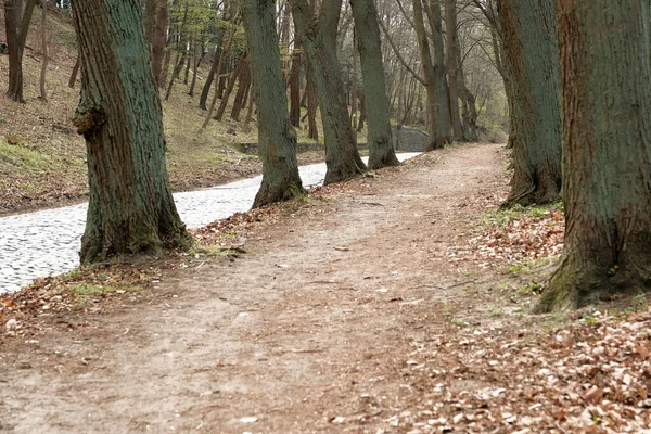 Camino Que Distancia Elija Nuevo Camino Carretera Pasión Por Los — Foto de Stock