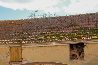 Yüzeyinde yeşil yosun olan kiremitli çatı. Çatıda yosun var.