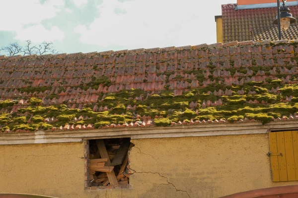 Yüzeyinde yeşil yosun olan kiremitli çatı. Çatıda yosun var.