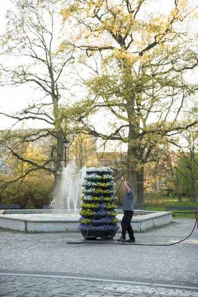 Bahçede çiçekleri sulayan kıdemli adam. Parkta çiçekleri sulayan adam.