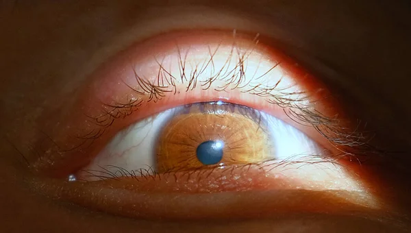 Dettaglio Occhio Umano Primo Piano Dell Occhio — Foto Stock