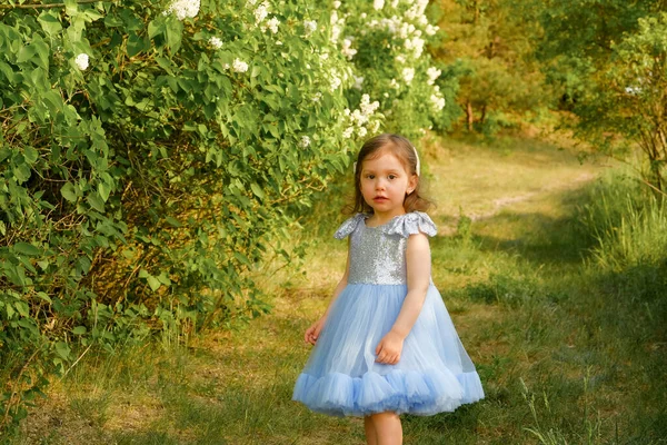 Niño Camina Parque Niña Vestida Con Vestido Azul — Foto de Stock