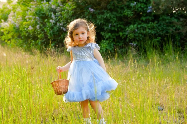 Dziecko Spaceruje Parku Dziewczynka Ubrana Niebieską Sukienkę — Zdjęcie stockowe