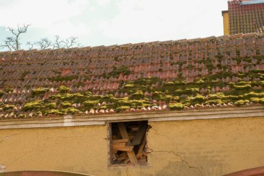 Yeşil yosunlu çatı .