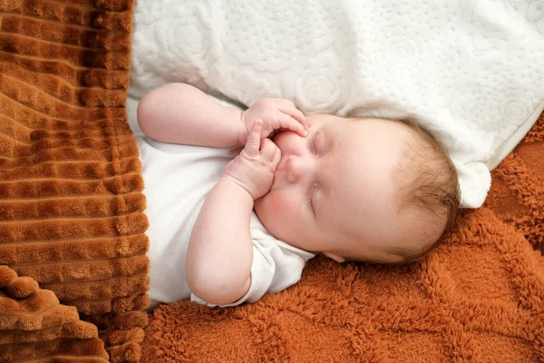 Bayi Yang Baru Lahir Tidur Tempat Tidur Sebuah Boneka Beruang — Stok Foto