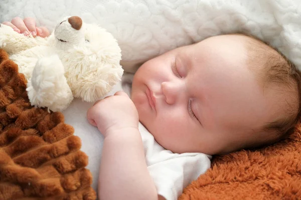 Bayi Yang Baru Lahir Tidur Tempat Tidur Sebuah Boneka Beruang — Stok Foto