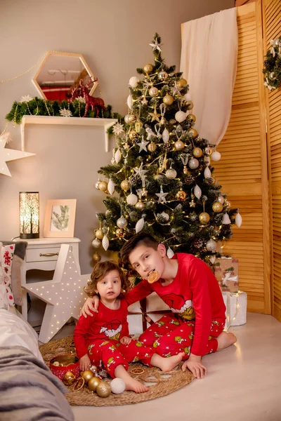 Two Children Sit Christmas Tree Christmas Hold Gifts Hands — Fotografia de Stock